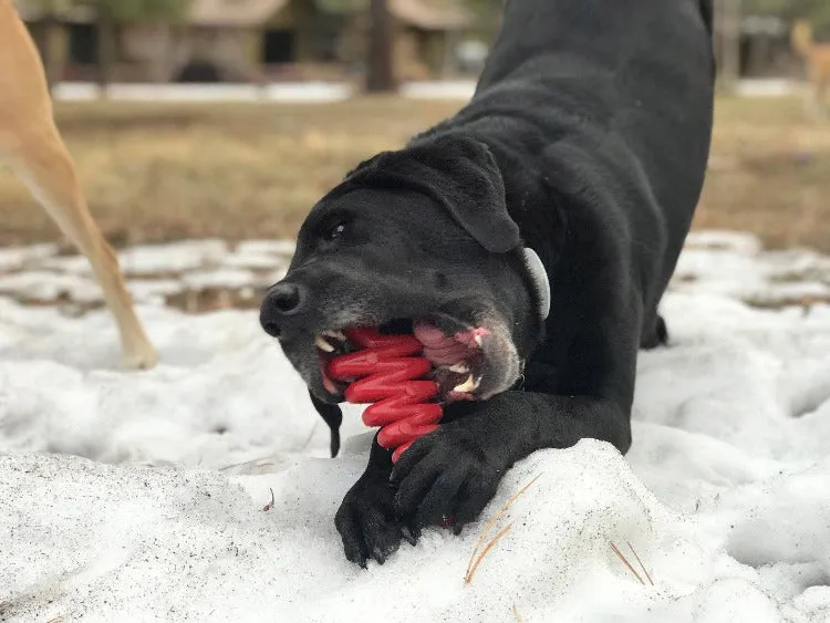 Christmas Tree Ultra Durable Nylon Dog Chew Toy