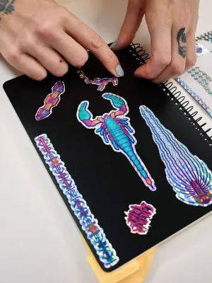 HOLOGRAPHIC STICKER SHEET