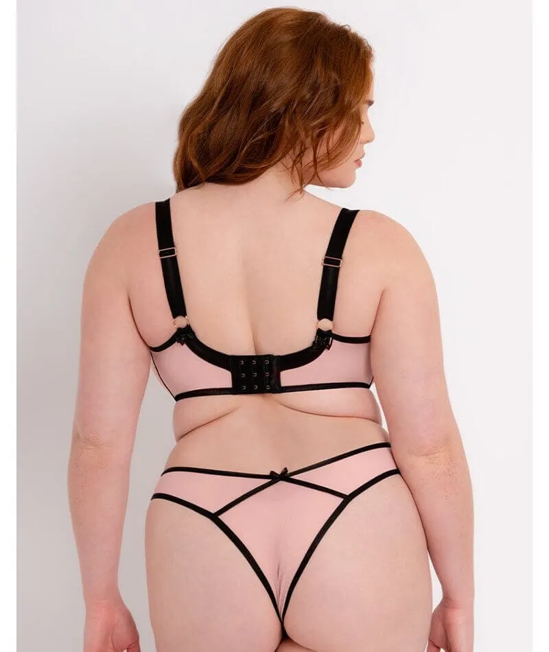 Scantilly Tantric Brazilian Brief - Blush/Black Black Pink