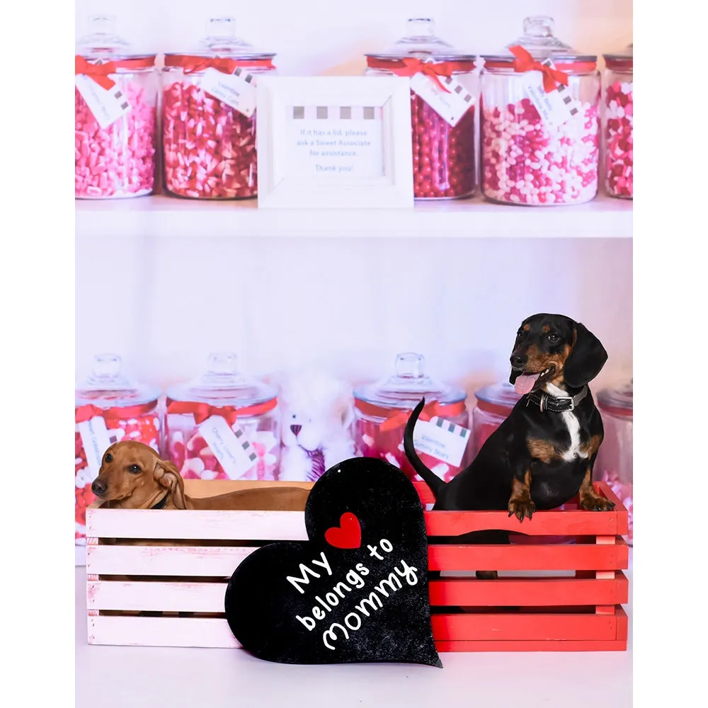 Sweet Shoppe Printed Backdrop